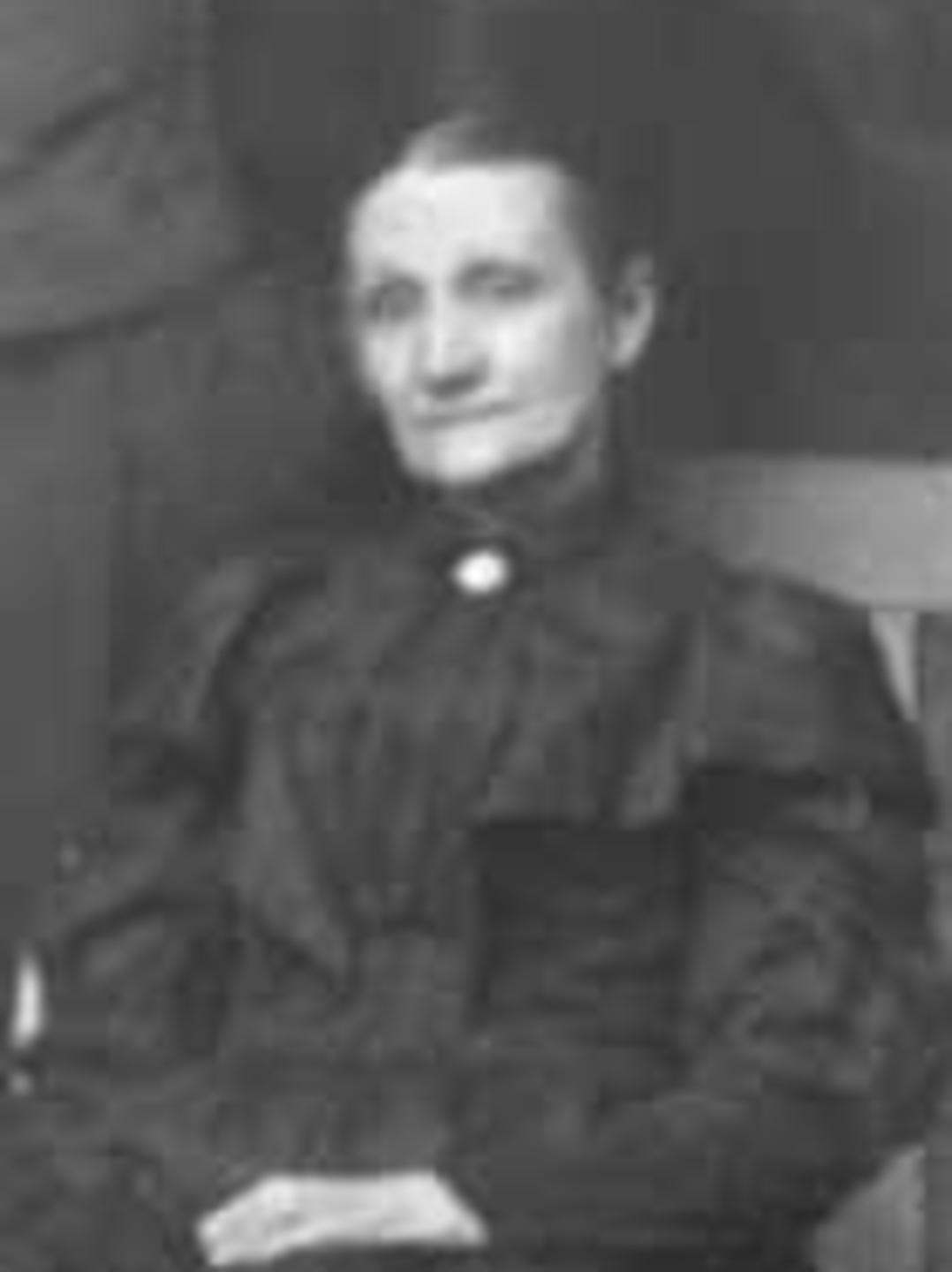 Sarah Louisa Van Orden (1836 - 1883) Profile